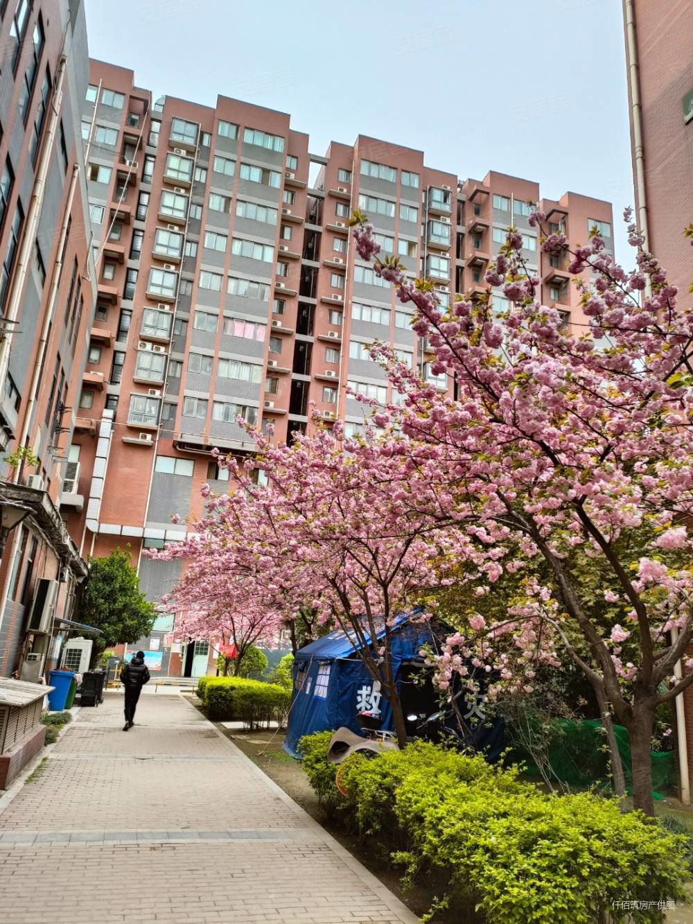 雁塔区地铁口电子正街北山门凯悦华庭有证一室看房方便