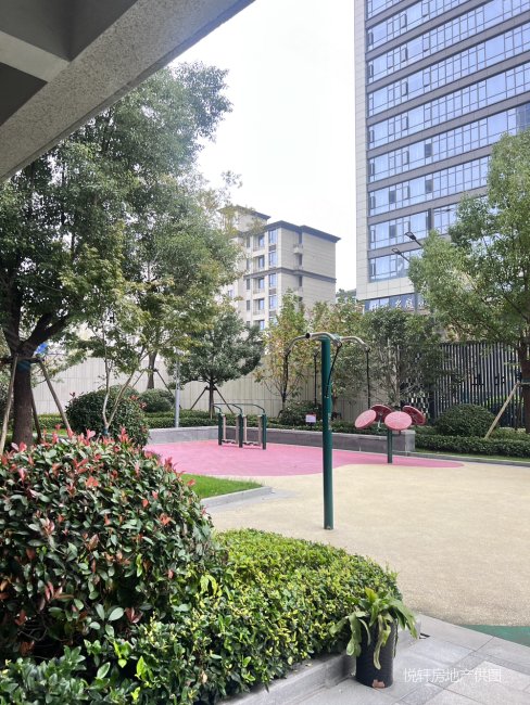 桐乡市区 南北通透 双卫 次新小区 商圈成熟