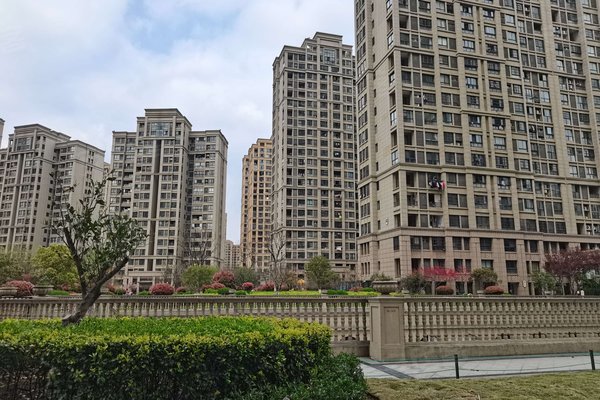 禹洲华侨城(三期)枫园