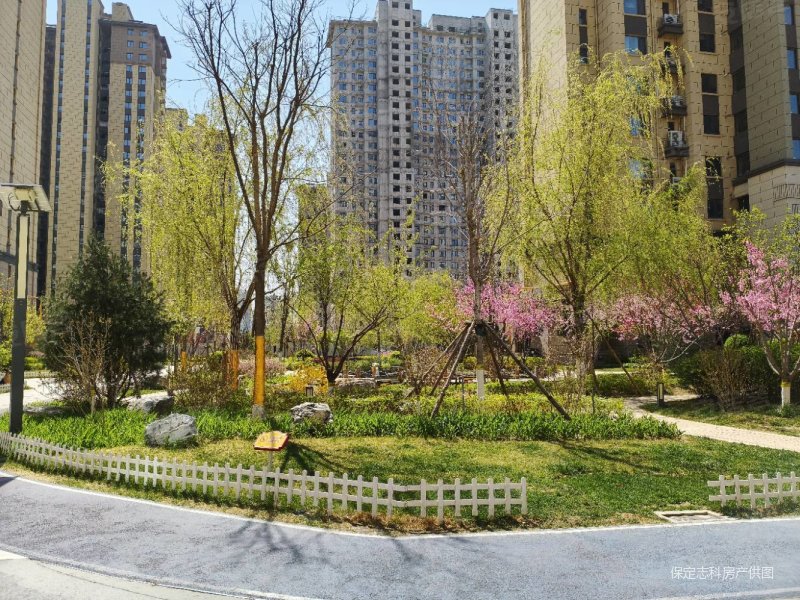 中国府3室2厅2卫127㎡南北139万