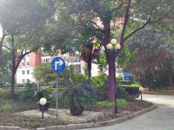 上海普陀长寿路绿洲城市花园(二期)10号线水城地铁口0距离 上班族必选