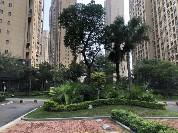 泉州晋江万达广场世茂御龙湾湖心岛世茂御龙湾 精装大平层 多套出租可