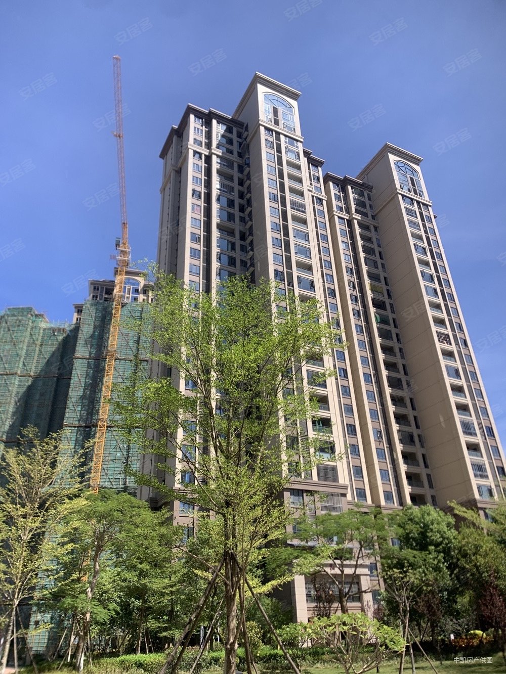 泉州房产网>泉州二手房>安溪二手房>解放路二手房>新景公馆>