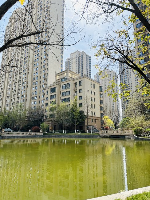 曲江龙邸大四室 出行方便 商品住宅  临地铁 带电梯