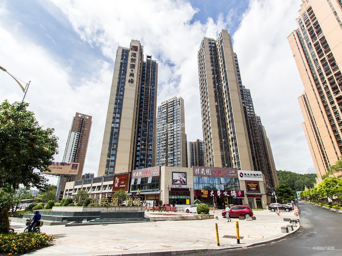 尚峰花园鸿荣源物业次新房14号线地铁公园旁精装三房