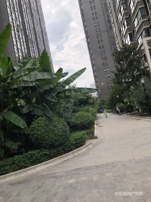 西市佳园 大两居 两梯四户 装修好 带电梯 近医院 正南朝向