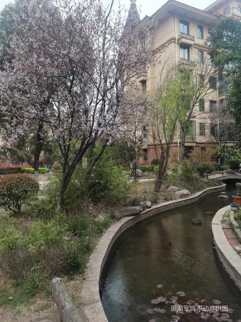 59万 急售 凤凰山庄 全新纯毛坯 一梯二户 电梯中层大