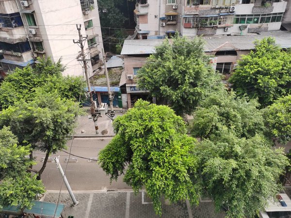 重庆北碚朝阳北碚月亮田新星路奔月村 近商圈轻轨吾悅 精装修 户型