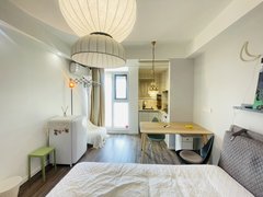 南京浦口江浦街道万汇城南区豪华单室套十号线地铁口南工大虹悦城河西研创园砂之船出租房源真实图片