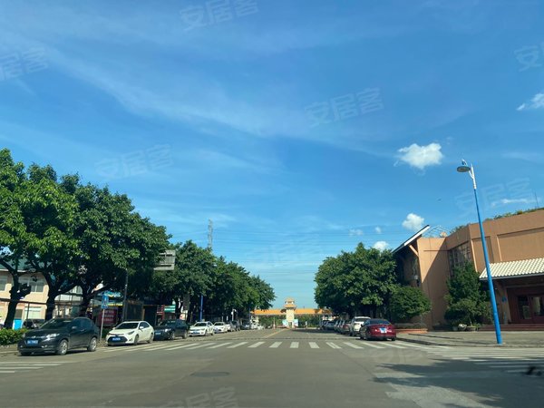 广州番禺新造谷围新邨(别墅)谷围新村别墅 精装修8房3卫 停车方便出租