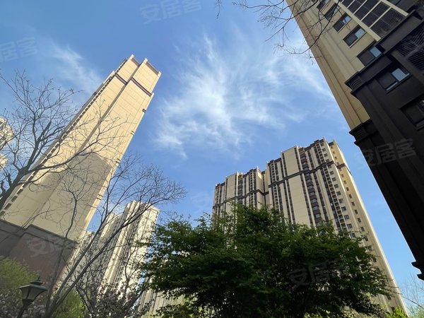 青岛崂山崂山区政府迪生山庄可月付苗岭路地铁口丽达购物中心国际发展