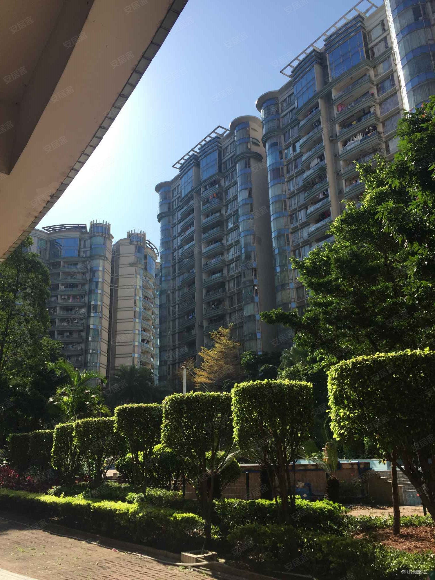 珠江南景园 大型花园小区 电梯高层三房 视野好价格