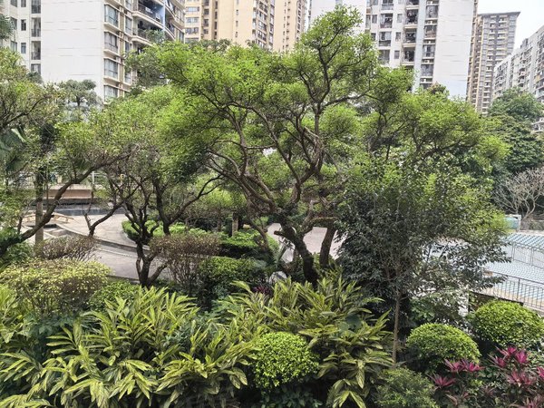 南宁青秀凤岭北保利凤翔花园保利凤翔花园 2室2厅1卫,干净卫生,拎包