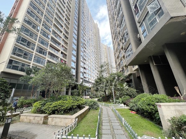 多图 百丽名苑 观澜租房 急租观澜百丽名苑高楼层朝南精装修拎包即住免费停车民水民电 龙华租房 深圳58安居客