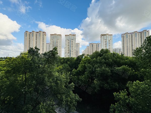河滨城喽王大平层 空房出租有车位 中空地暖 随时看房,浦东租房-上海