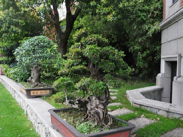 上海长宁西郊公园夏都花园全球ceo的家 | 夏都花园,法式风格别墅群