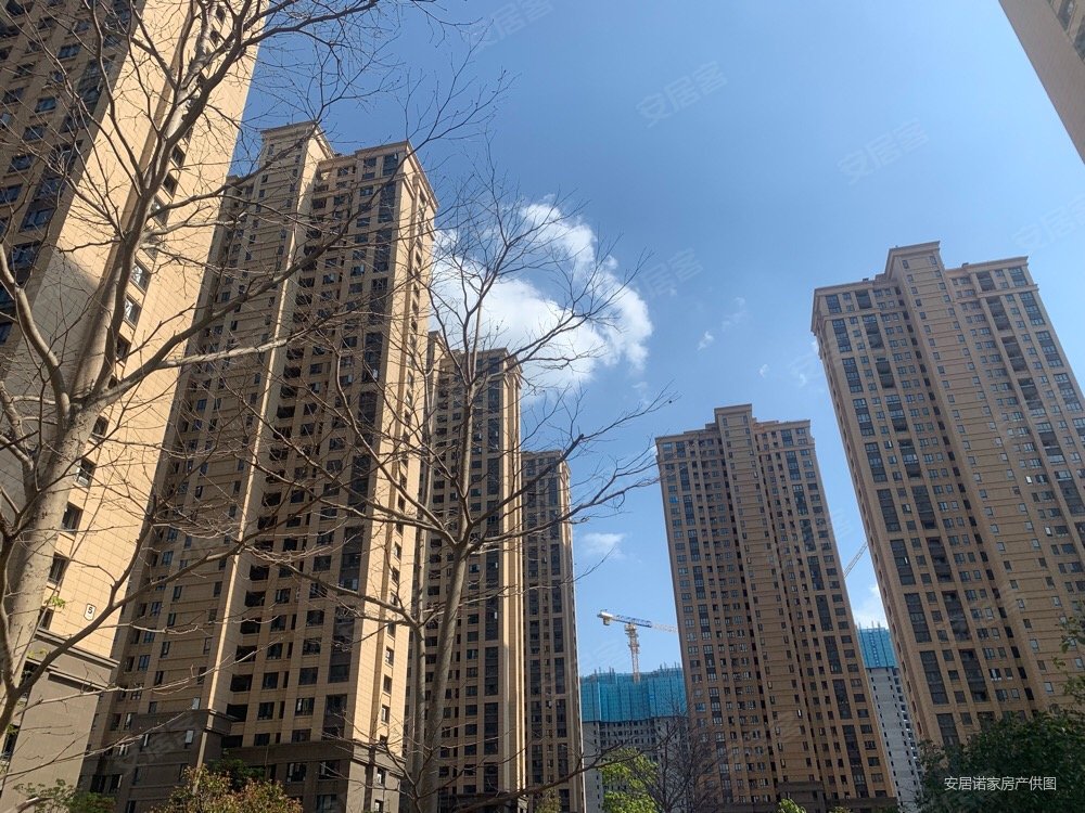 水岸观溪高楼层采光充足有电梯音西