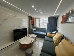 科创新城 天和人家公寓 56平精装修大暖房 家具家电齐全