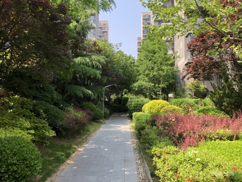 三室两卫 南北精装大户型 房主急售 看房方便 万科朗润园