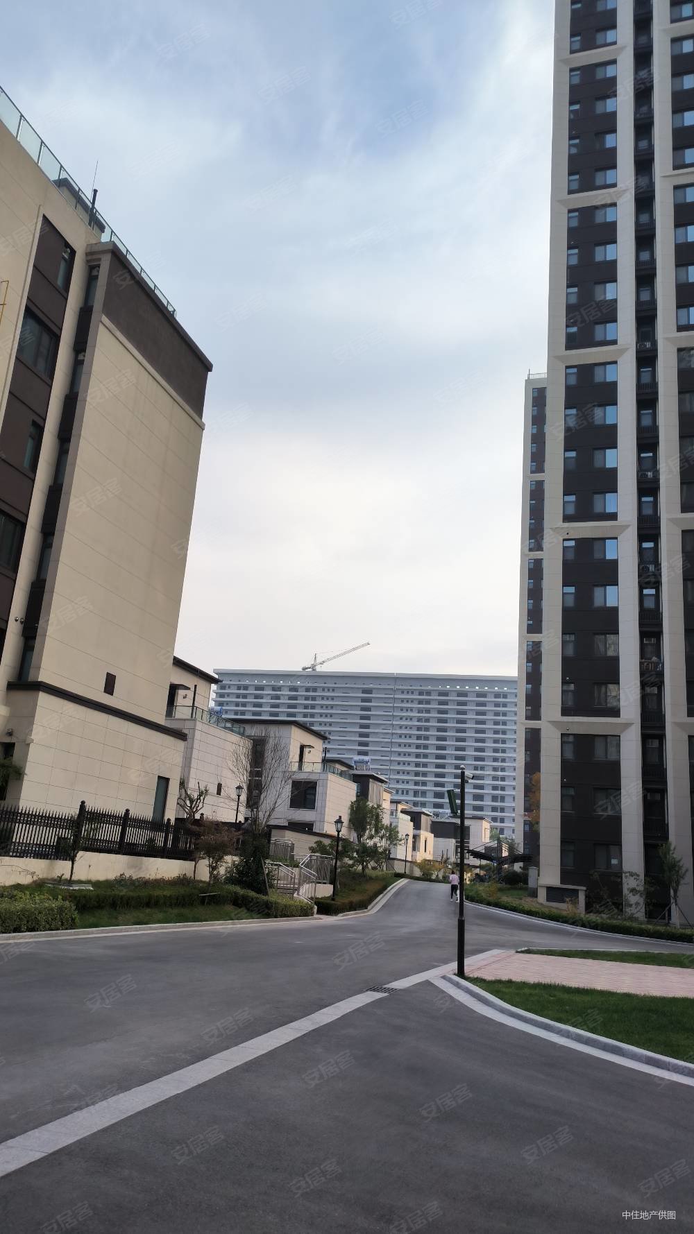 泰悦盛景3室2厅2卫179.14㎡南北165万