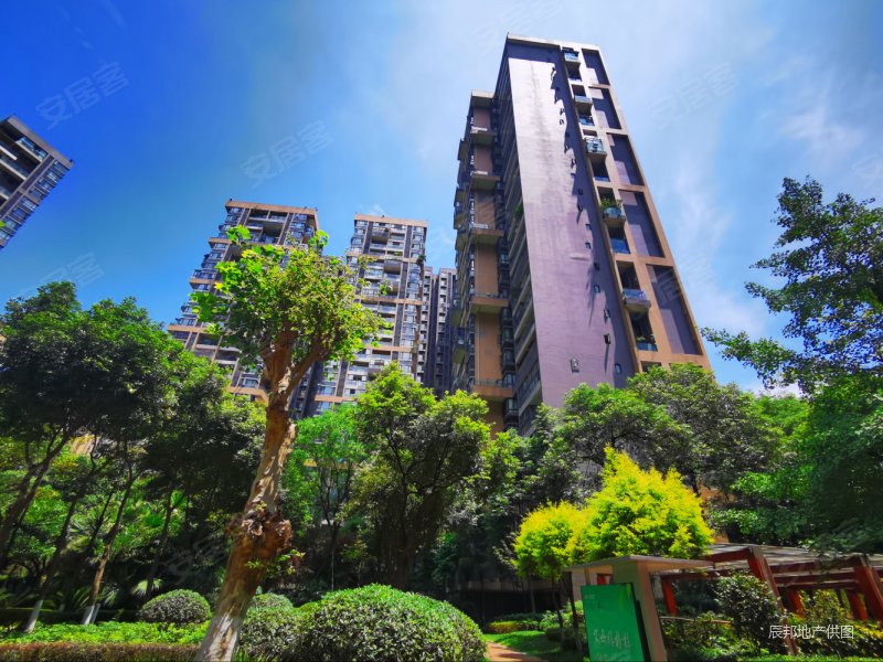 成都房产网>成都二手房>高新区二手房>大源二手房>华润凤凰城(一期)>