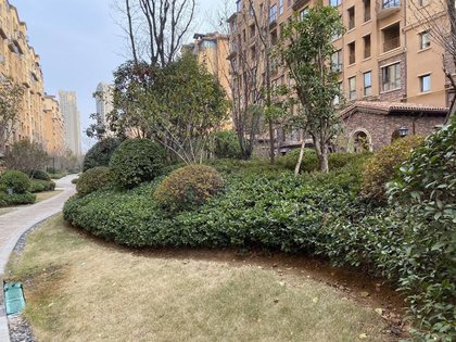 绿城智慧公园,杨金路,近景泰路 - 郑州绿城智慧公园二手房,租房,房价