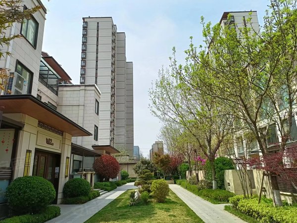 青岛城阳实验二小青特金地汇豪观邸(新)家佳源 汇豪观邸 套三双卫