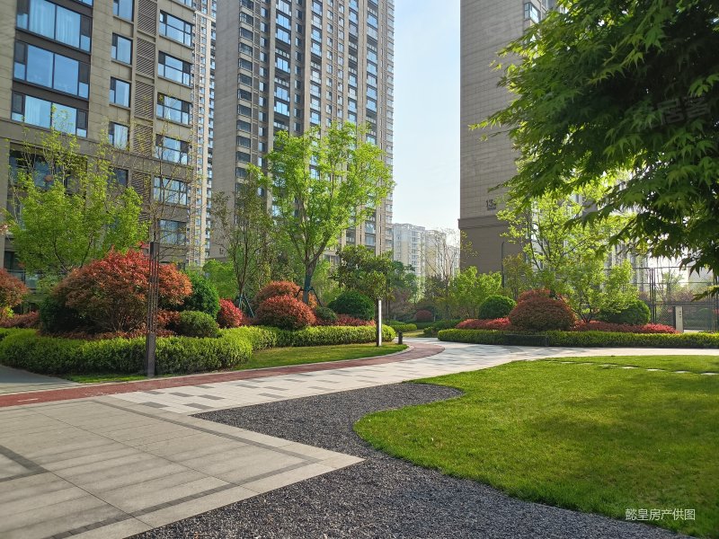 建业科技城  满二  急售  钥匙房 商品住宅 南北通透