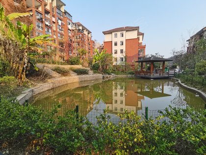 不足,枫林映像怎么样,枫林映像周边房产中介经纪人评价-宜春安居客