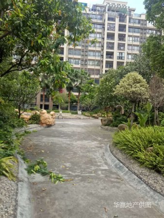 西樵丽湖名轩 全新装修带家私家电 业主带产权车位出售