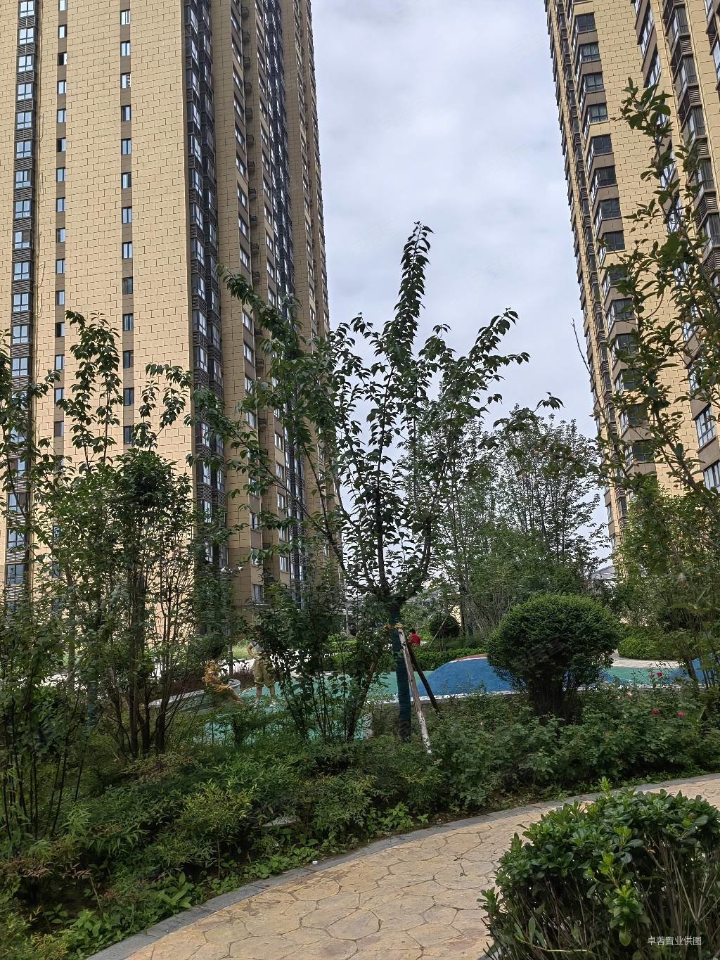 海棠湾3室2厅1卫103.25㎡南北60万