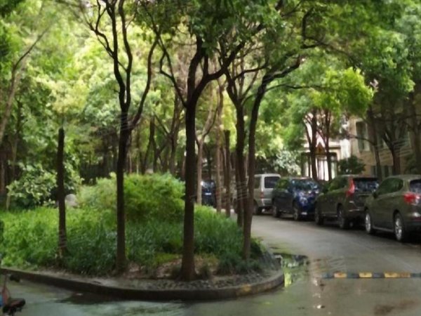 【多图】田林新苑,田林租房,田林电梯双南两房 采光佳 诚信出租 看房