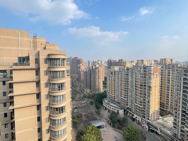 【多图】古北国际花园,古北租房,顶楼复式 10米宽大横厅 全部朝南 储