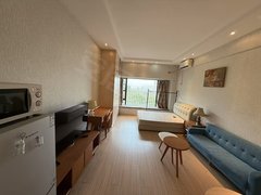 广州天河粤垦天河区 力达广场 精装一房 三站珠江新城 近燕塘地铁 拎包入出租房源真实图片