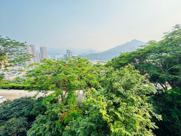 深圳盐田沙头角云深处(别墅)云深处别墅 精装修 南北通透  看海景出租