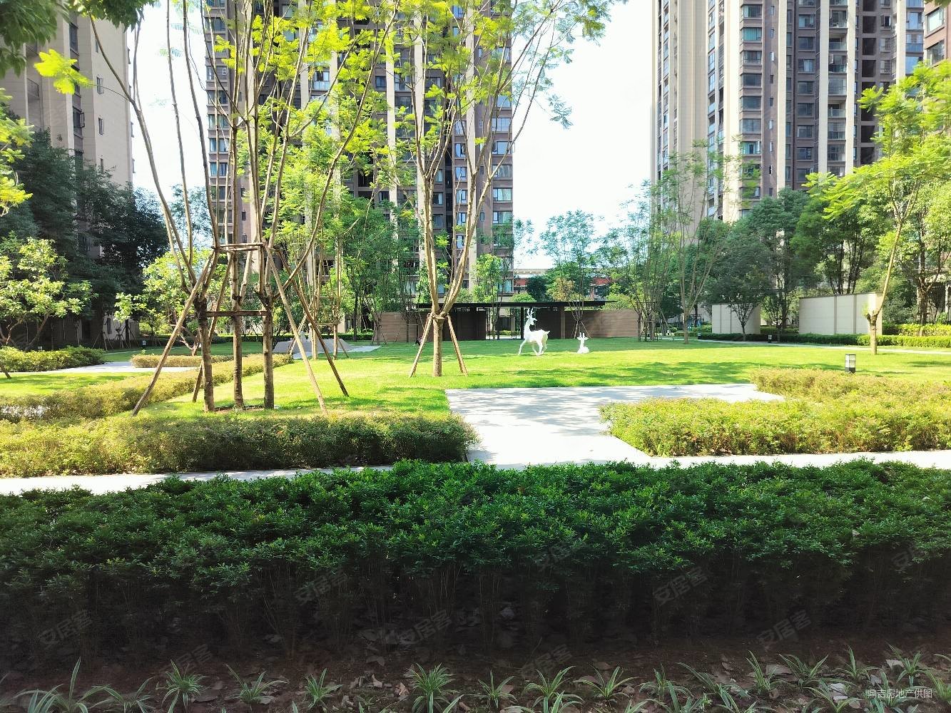 急急急,错过在无金科礼悦东方,品质小区清水赠送多可变性空间强