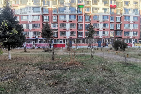 延边小区 延吉小区 金达莱小区 金地家园