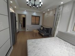 大连西岗石道街精装修 一室半 第一次出租 家具家电都新的 密码锁 随时看出租房源真实图片