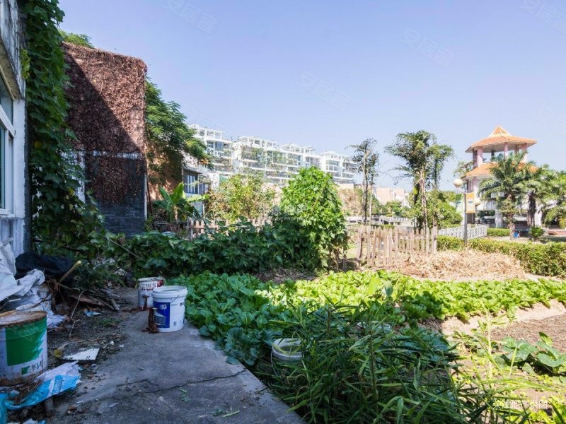 龙岗湖边别墅 上下三层 带院子,有车位 满五少税