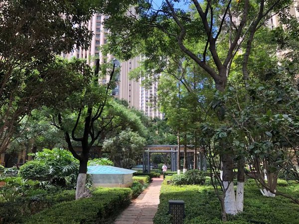 【多图】金尚俊园(一三四期),金星立交桥租房,可短租押一付一金尚俊园