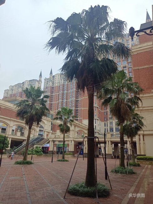 洪客隆英伦联邦精装三房,全屋送,   !