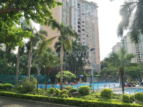 广州番禺市桥雅居乐鸿禧华庭一期房子采光通风十分好装修新净出租房源