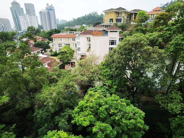 深圳南山蛇口半山海景兰溪谷(一期)兰溪谷靠别墅区一栋,高楼层4房