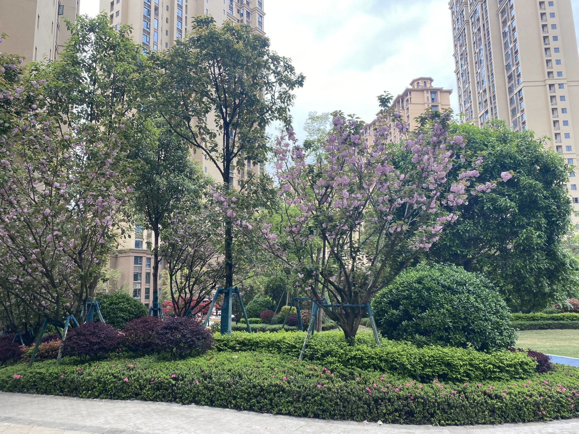 雅居乐剑桥郡