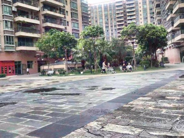 【多图】固戍花园,固戍租房,固戍地铁 精装修一房一厅押一付一民水电