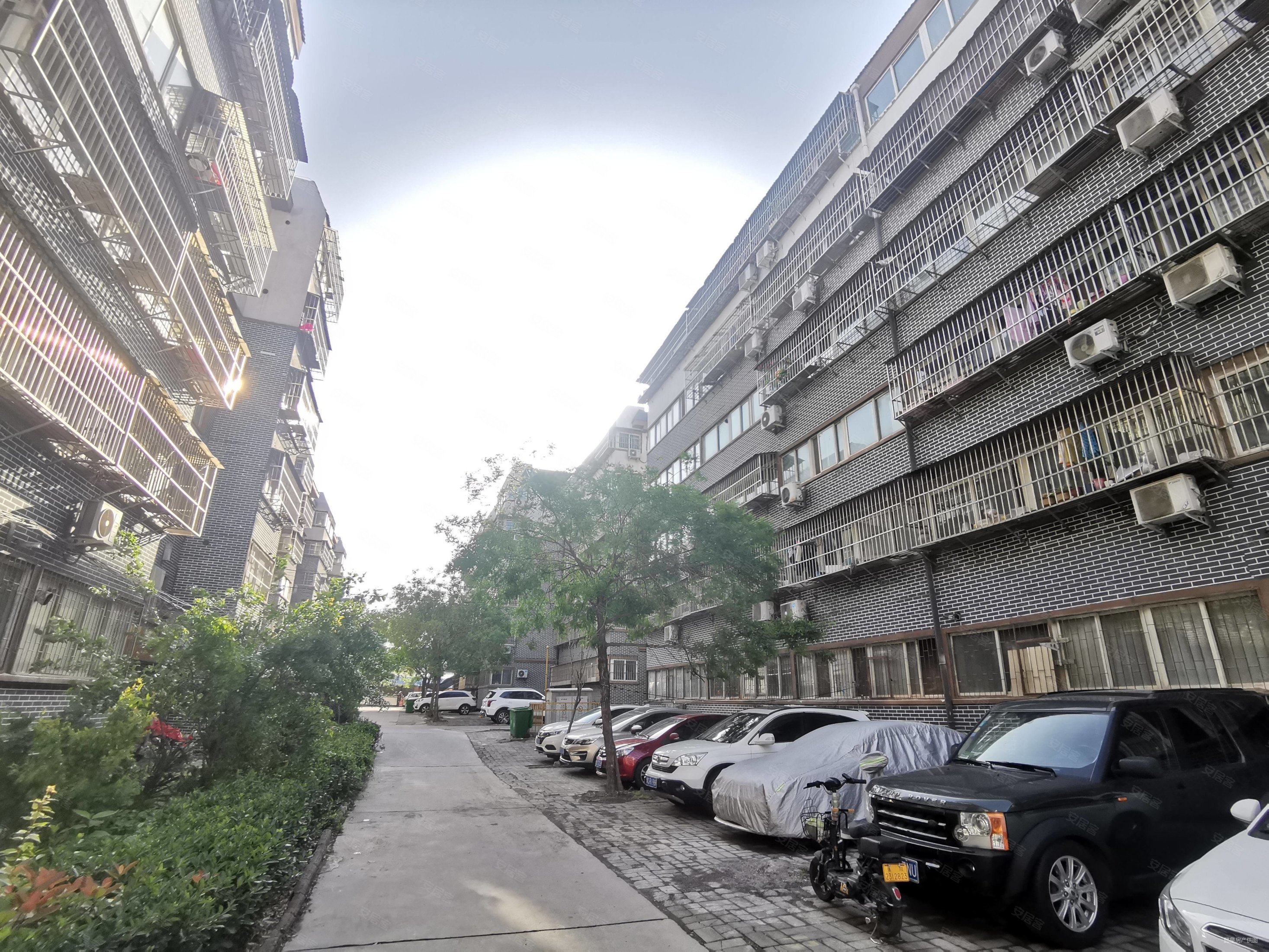 美丽家中层大三室双卫双气小区业主急售看中可刀