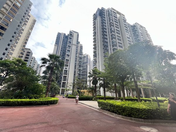 深圳龙华大浪龙军花园急急急!