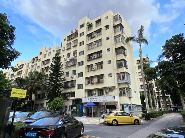 深圳福田华强北红荔村住宅区红荔村住宅区 新推三房户型,刚刚空置