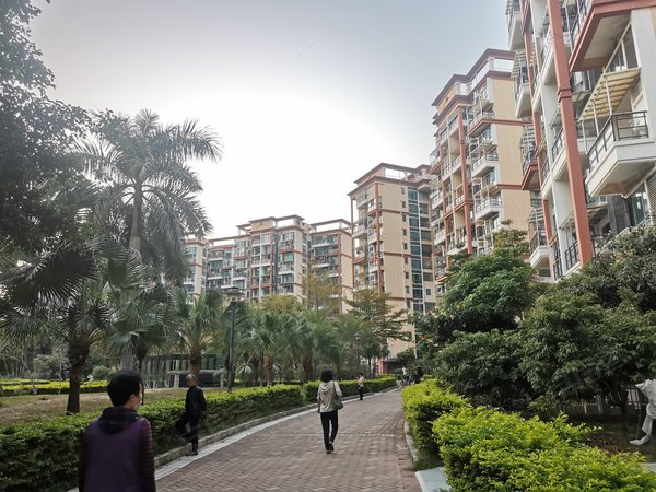 深圳宝安福永金域豪庭(三期)福永双地铁口 金域豪庭精装大1房1厅 生活