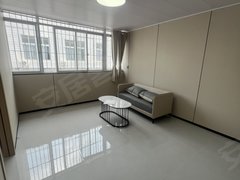 深圳龙岗横岗坳背地铁站附近 精装修一室一厅一卫 拎包入住出租房源真实图片